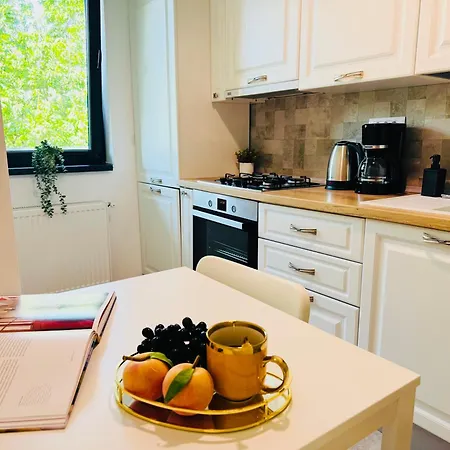 Exclusive 1br With Balcony On Splaiul Independentei 公寓 布加勒斯特